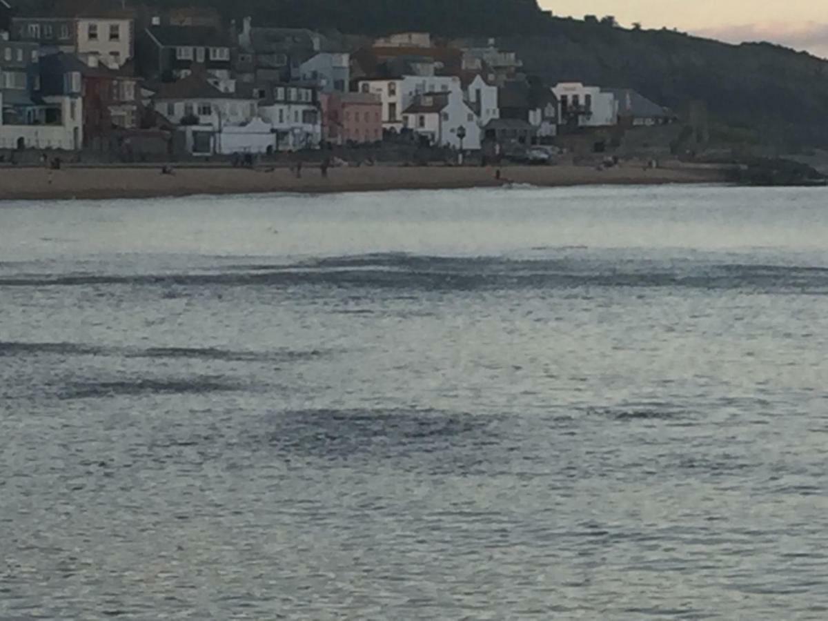 Little Monmouth 4 Bedroom Cottage, Old Town Lyme Regis, Dog Friendly And Parking Dış mekan fotoğraf